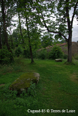 edSG106888