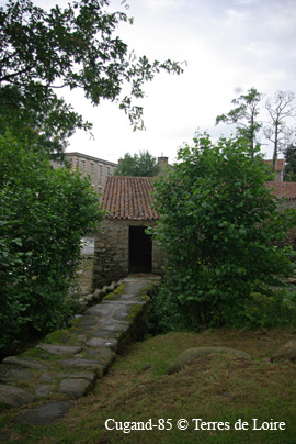 fbSG106852