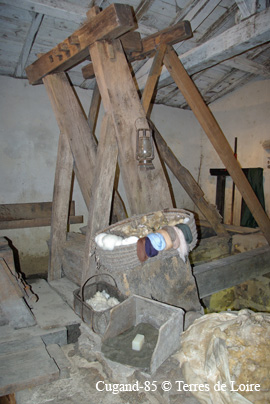 fjSG106903
