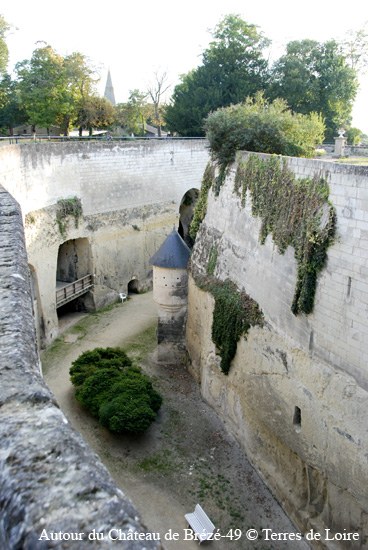104-DSC_6572