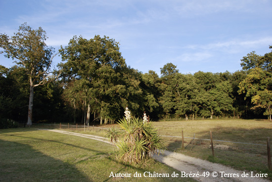 112-DSC_6567