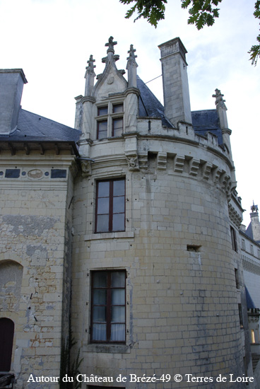 113-DSC_6576