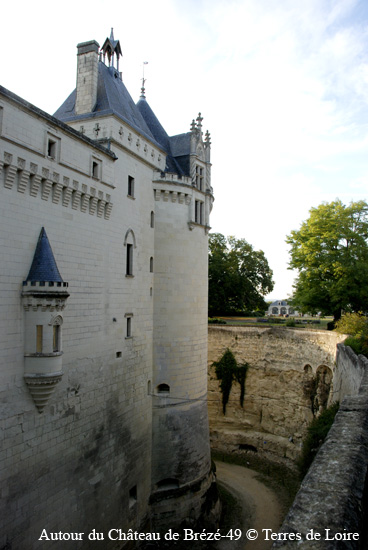 120-DSC_6584