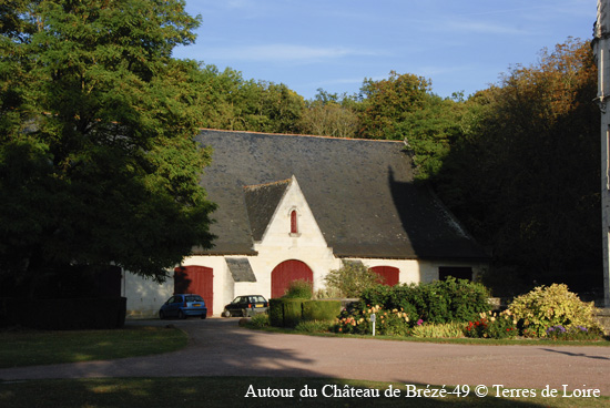 137-DSC_6496