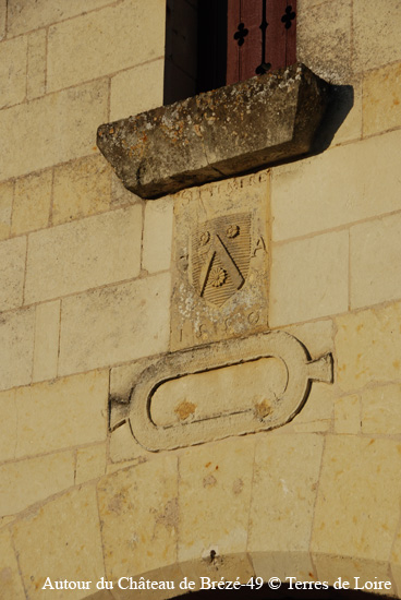 141-DSC_6590