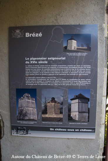 164-DSC_6664