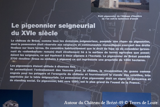 165-DSC_6665