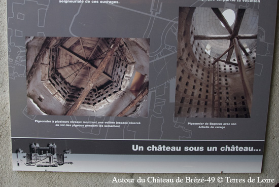 171-DSC_6663