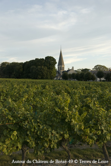 180-DSC_6687