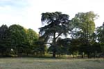 111-DSC_6558