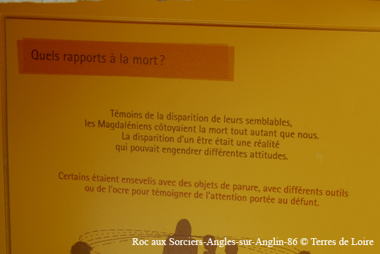 135-DSC_1172