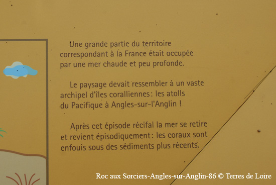 169-DSC_1337