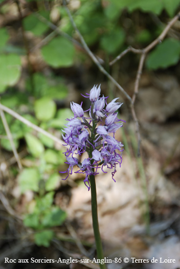186-DSC_1421