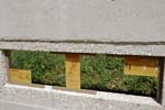 103-DSC_1151