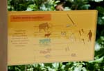 123-DSC_1163