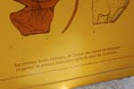 142-DSC_1175