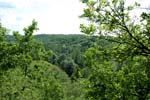 160-DSC_1328