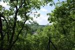 165-DSC_1333