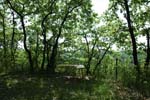 182-DSC_1359