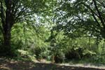 184-DSC_1419