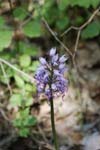 186-DSC_1421
