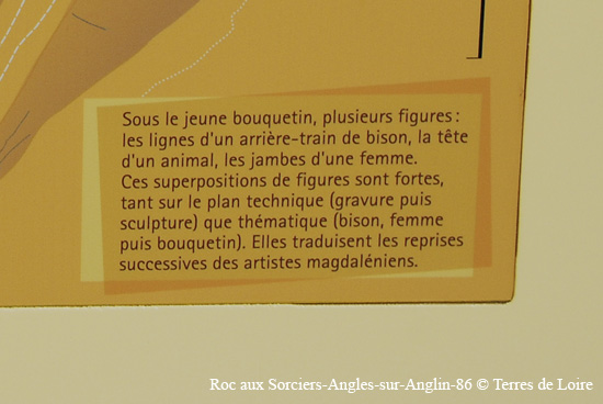 066-DSC_1242