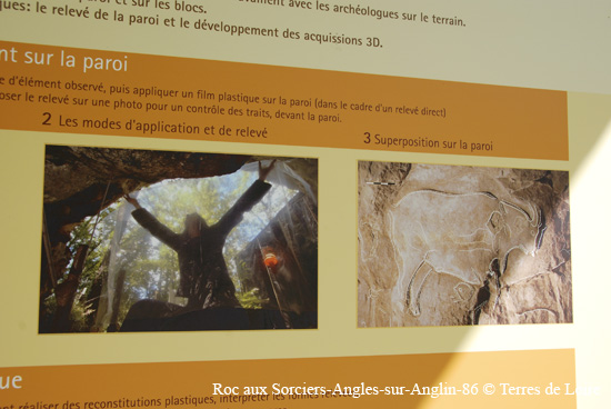 141-DSC_1290