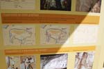 142-DSC_1286