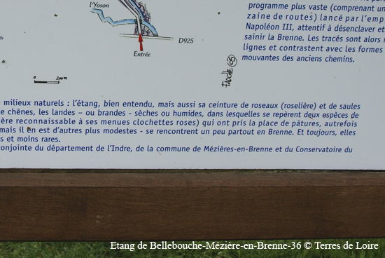 065-DSC_0261
