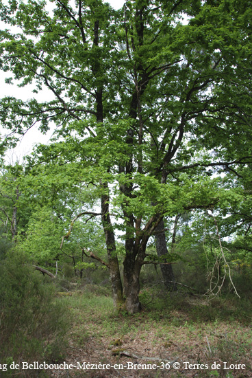 144-DSC_0474