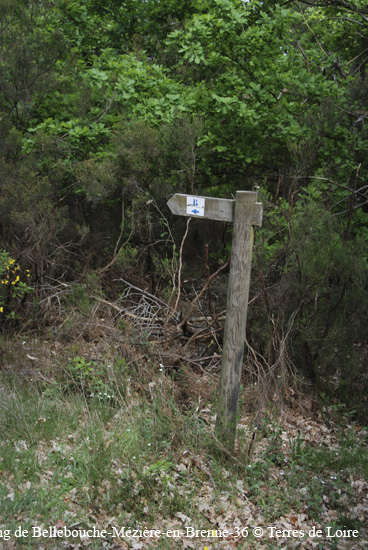 148-DSC_0478
