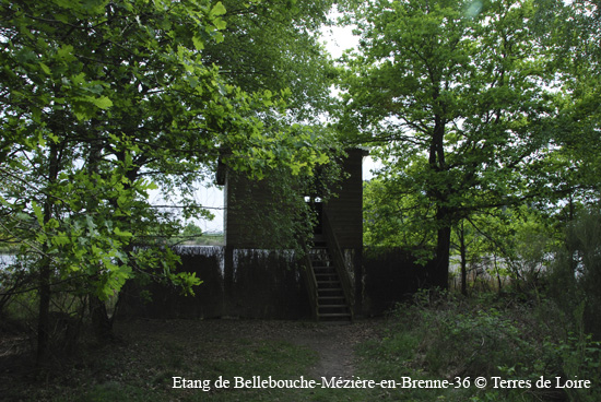 155-DSC_0486