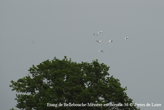 170-DSC_0503