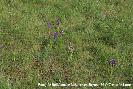 175-DSC_0510