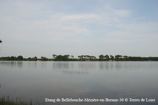 205-DSC_0556