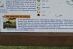 064-DSC_0261