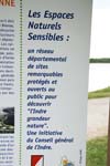 071-DSC_0268