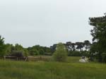 117-P1180900