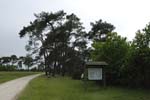 120-DSC_0370