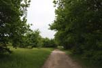 132-DSC_0450