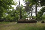 133-DSC_0451