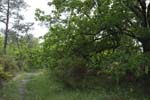 147-DSC_0475