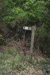 148-DSC_0478