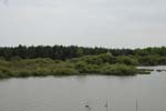 158-DSC_0495