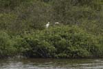 159-DSC_0493