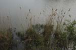 160-DSC_0496