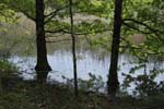 164-DSC_0504