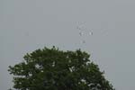 170-DSC_0503