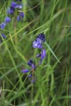 179-DSC_0525